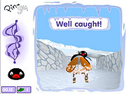 Click to Play Crazy Sledging