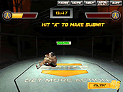 Click to Play MMA Training Ground