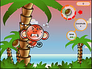 Click to Play Cocoon Island