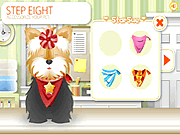 Click to Play Pet-grooming Studio