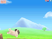 Click to Play Pug The Dog