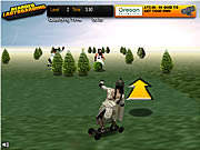 Click to Play Bearded Ladyboarding