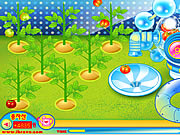 Click to Play Sue Tomato Factory