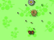 Click to Play Butterfly Frenzy