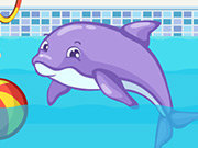 Click to Play Dolphin Slacking