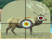 Click to Play Hunter 3D