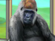Click to Play My Funny Ape