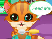 Click to Play My Kitty Care
