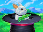 Click to Play My Rabbit