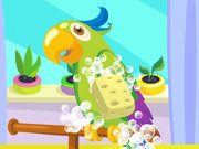 Click to Play Parrot Care