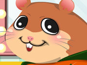 Click to Play Pet Hamster