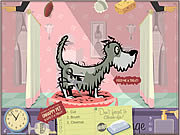 Click to Play Pet Spa Challenge