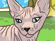 Click to Play Sphynx Cat