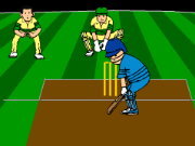 Click to Play Virtual Cricket 2 